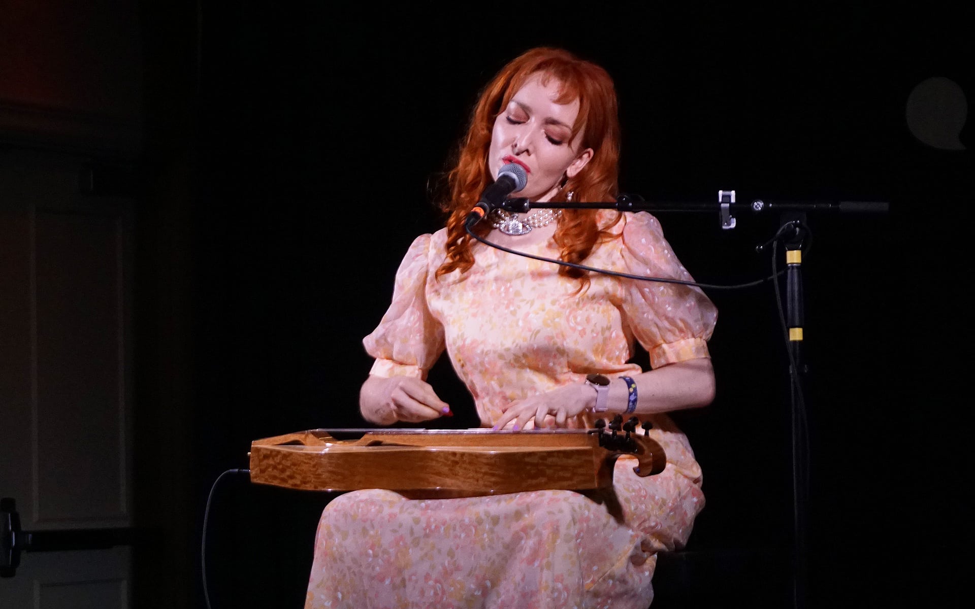 Apply For Folk Alliance 2027